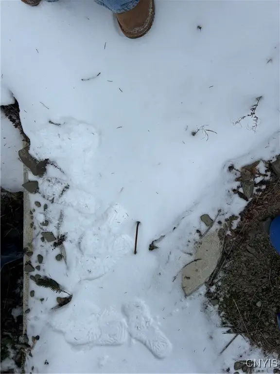 3023 W River Road, Cortland, NY 13045 - Image #3