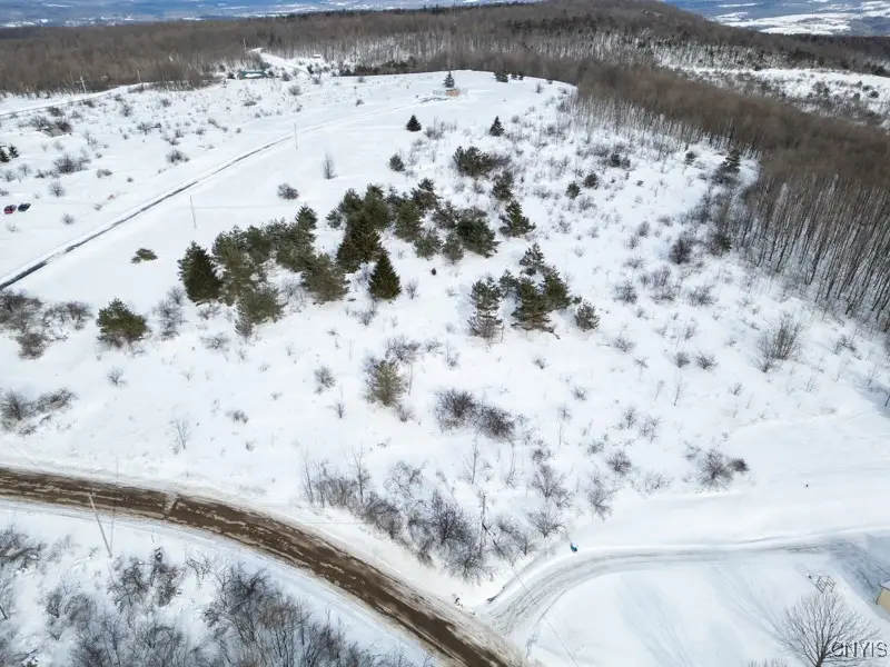 Cook Hill Road, Herkimer, NY 13350 - Image #2