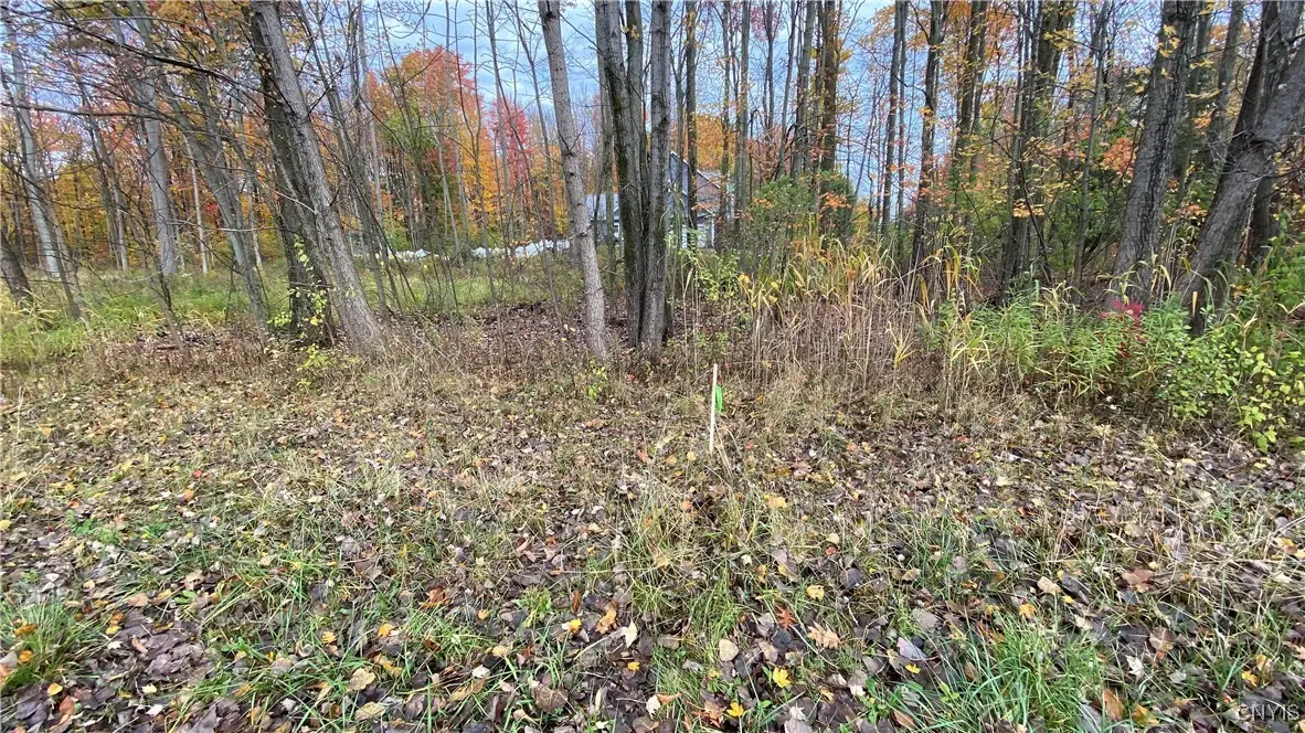 43 Obrien Glenway, Oswego, NY 13126 - #1