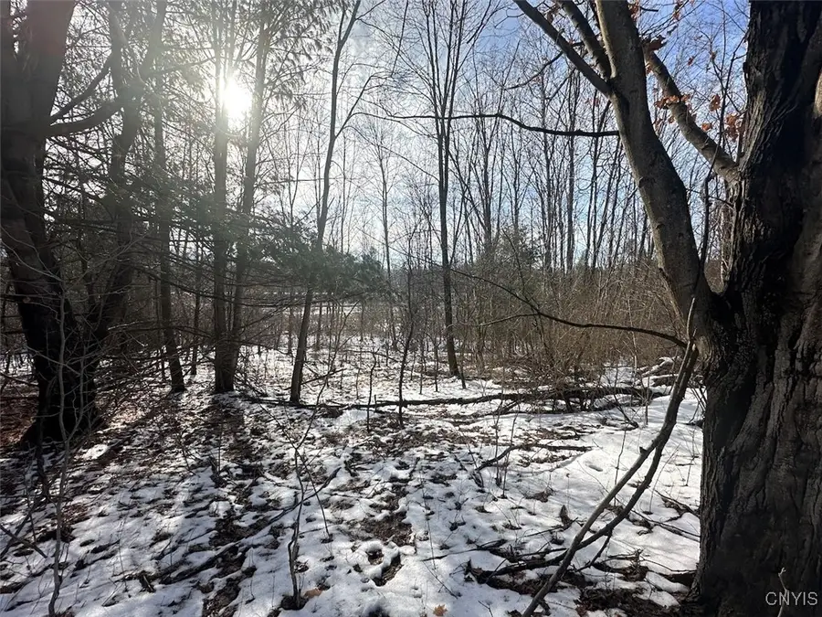 Pigtail Road, Friendship, NY 14739 - Image #2