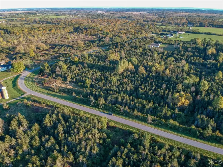 Tubolino Road, La Fargeville, NY 13656 - #3