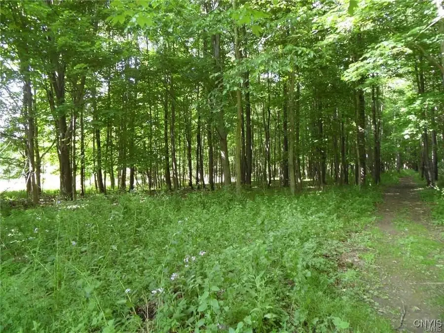 0 Henderson Street, Whitesboro, NY 13492 - Image #2