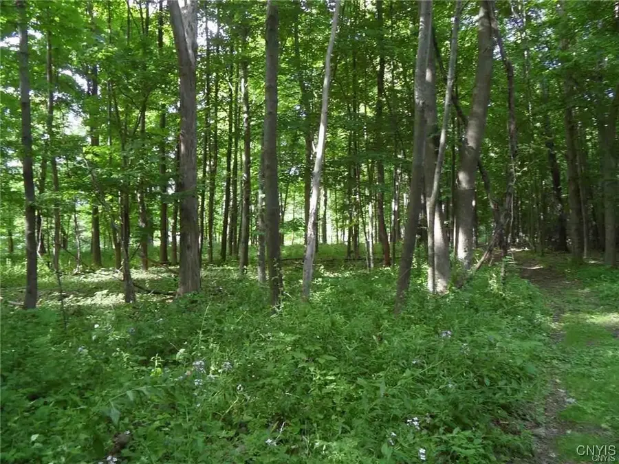 0 Henderson Street, Whitesboro, NY 13492 - Image #3