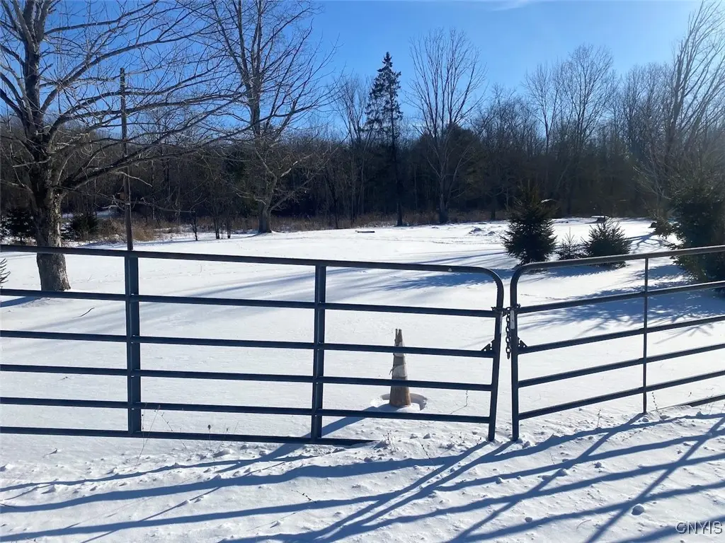 8708 Oramel Hill Road, Caneadea, NY 14717 - Image #1