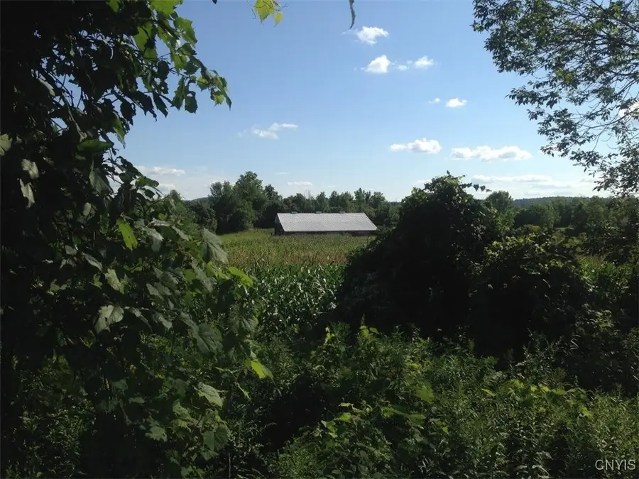 143 Lake Road, West Winfield, NY 13491 - Image #3