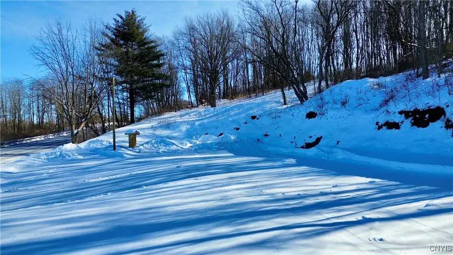 3170 State Route 5s, Danube, NY 13339 - #3