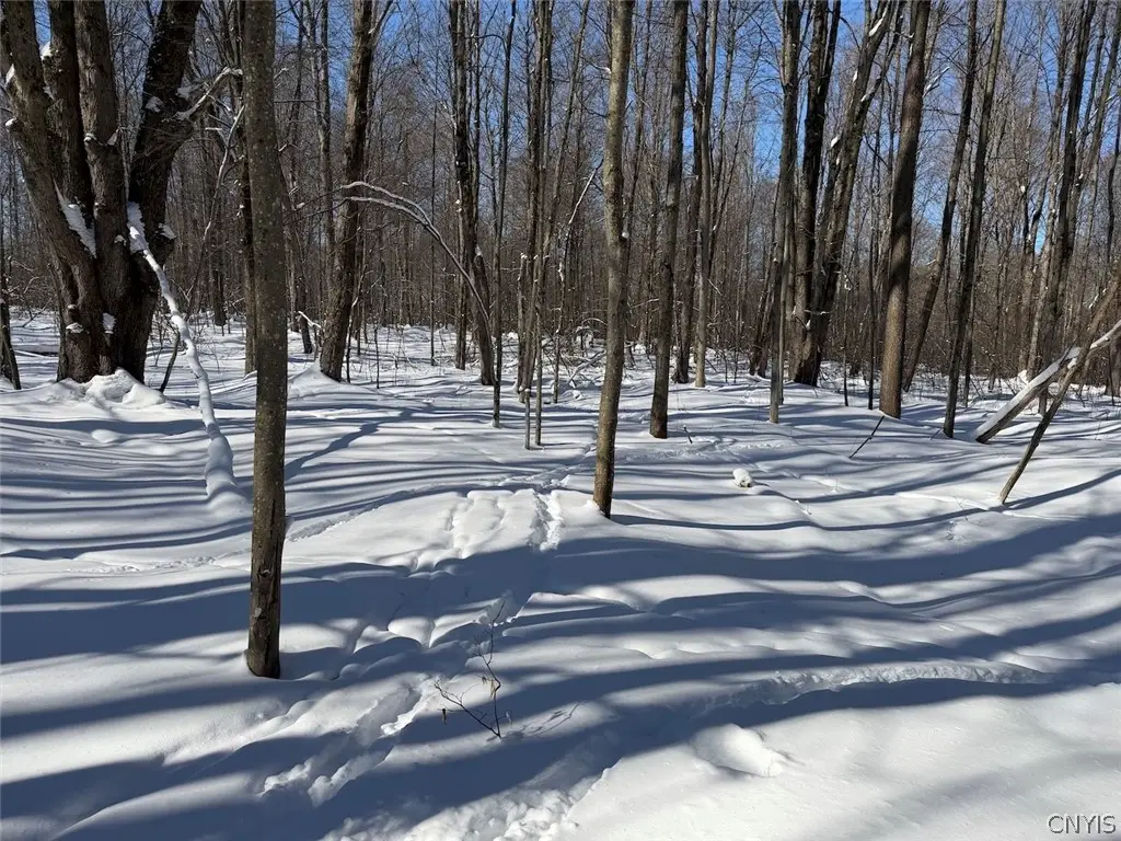 Cemetery Hill Road, Franklinville, NY 14737 - #1