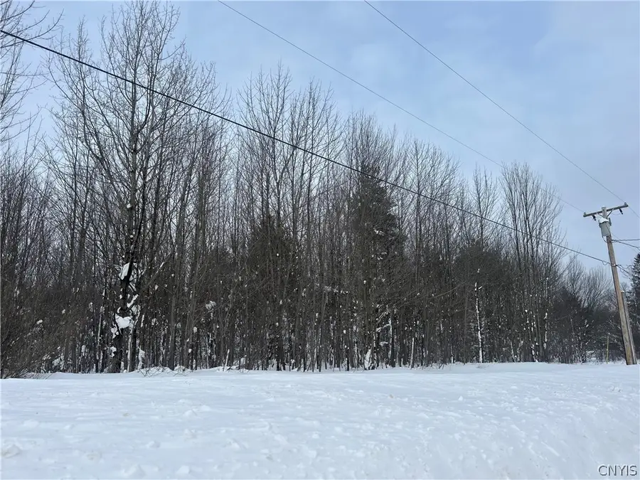 0 Co Rt 15, Lacona, NY 13083 - #3