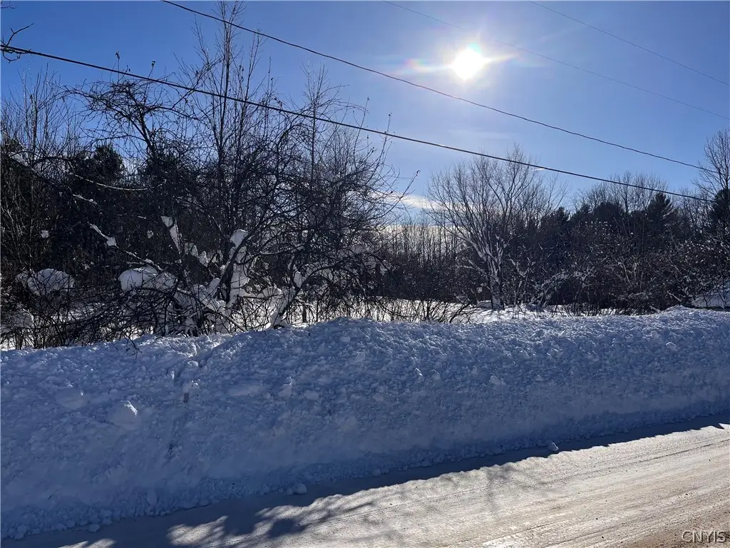 16888 Hagen Road, Lacona, NY 13083 - #1