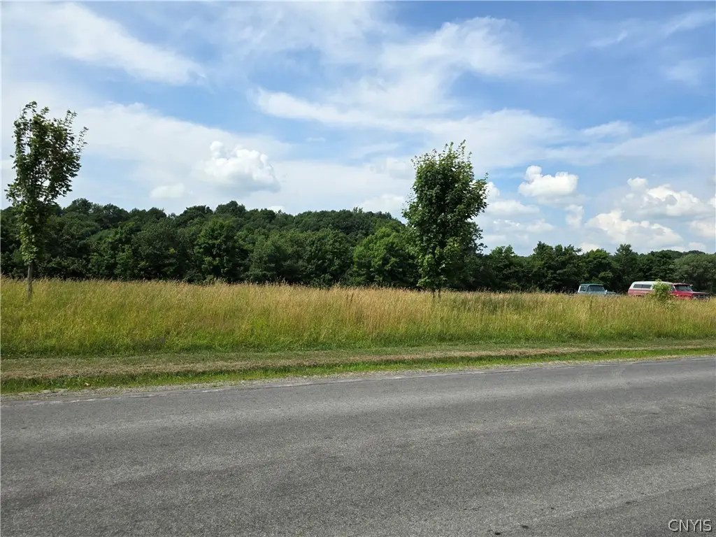 Lowville Road, Rodman, NY 13682 - #1