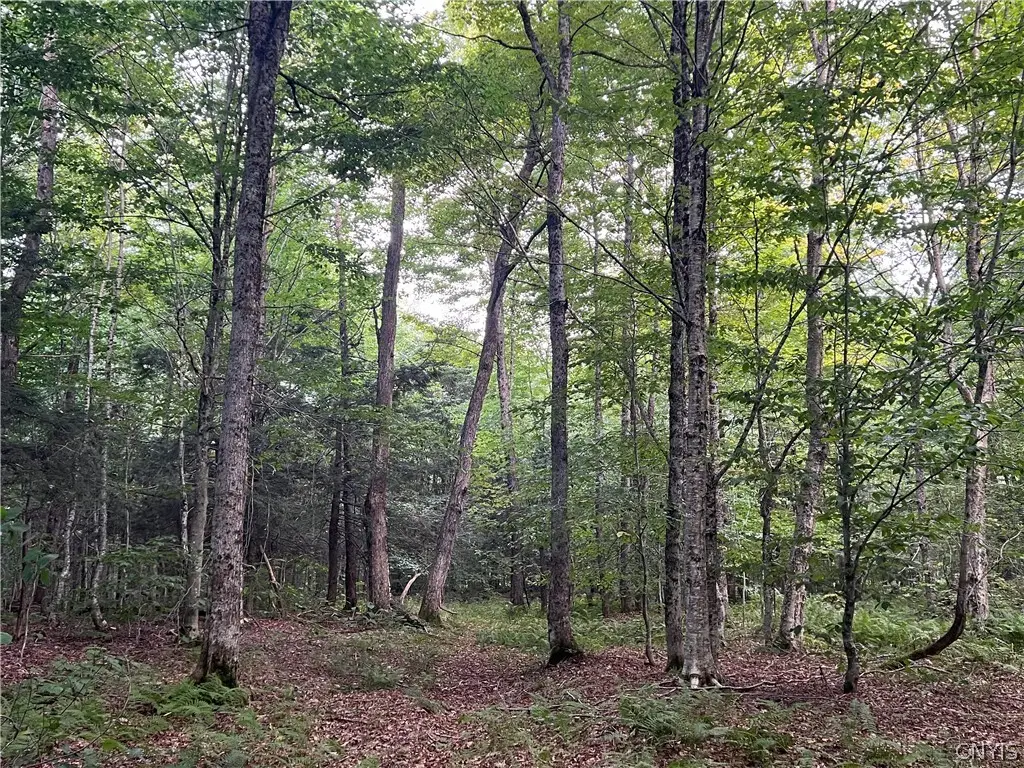 Creek Road #7, Taberg, NY 13471 - #1