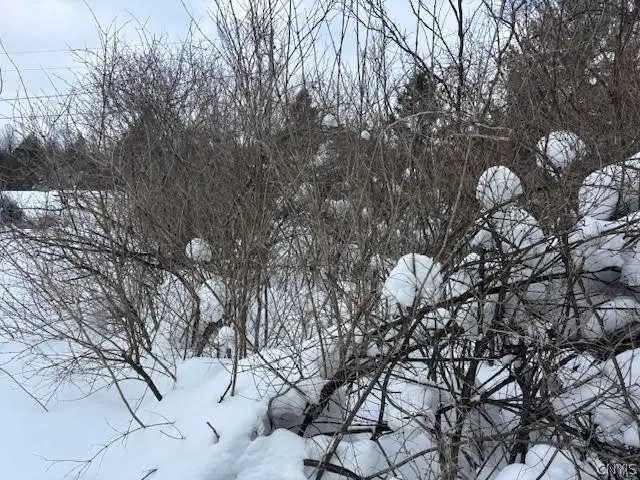 Caroline Drive S, Chaumont, NY 13622 - #3