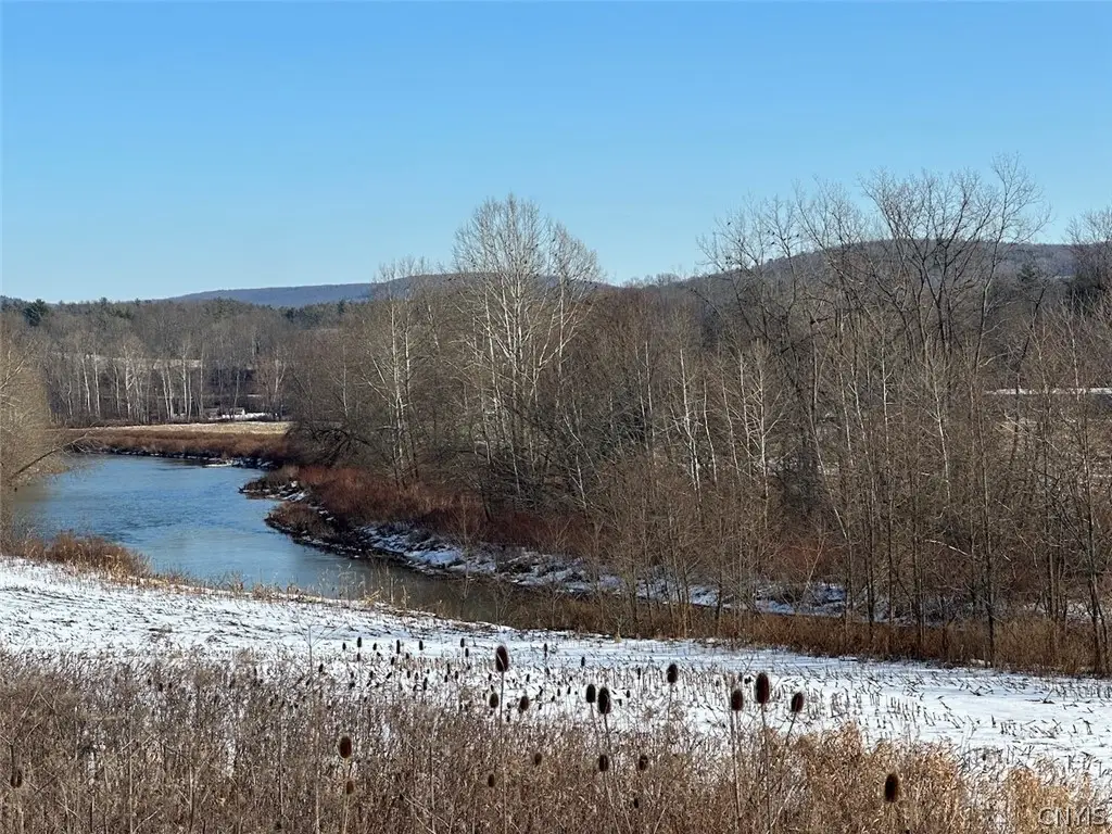 State Route 19, Angelica, NY 14709 - #1