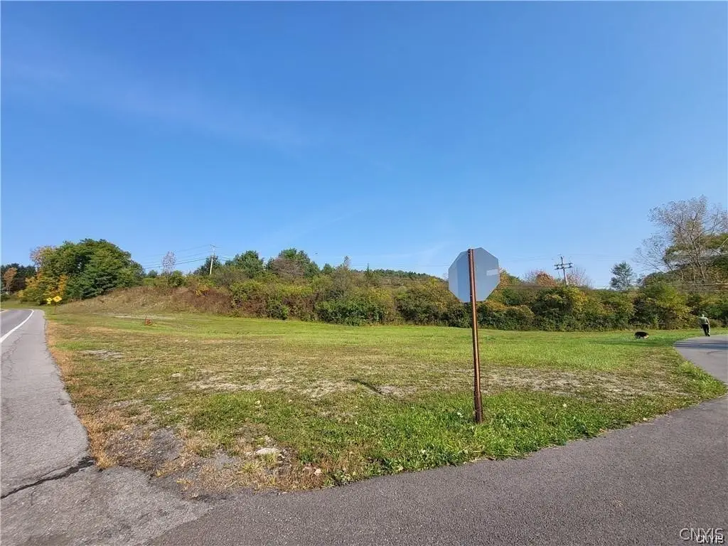 Peck Hill Road, Jamesville, NY 13078 - #1