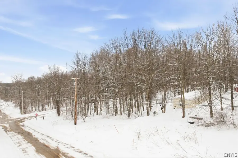 7 Cowpath Road, Fulton, NY 13069 - #2