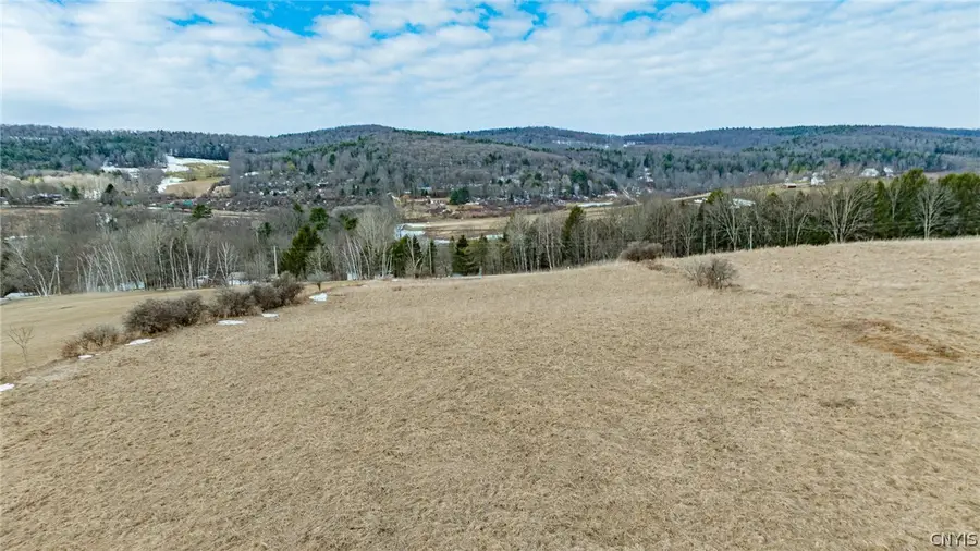 Buck Road, Fly Creek, NY 13337 - #3