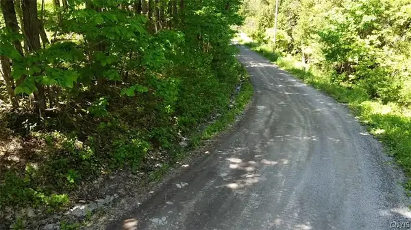 Old State Rd, Carthage, NY 13619