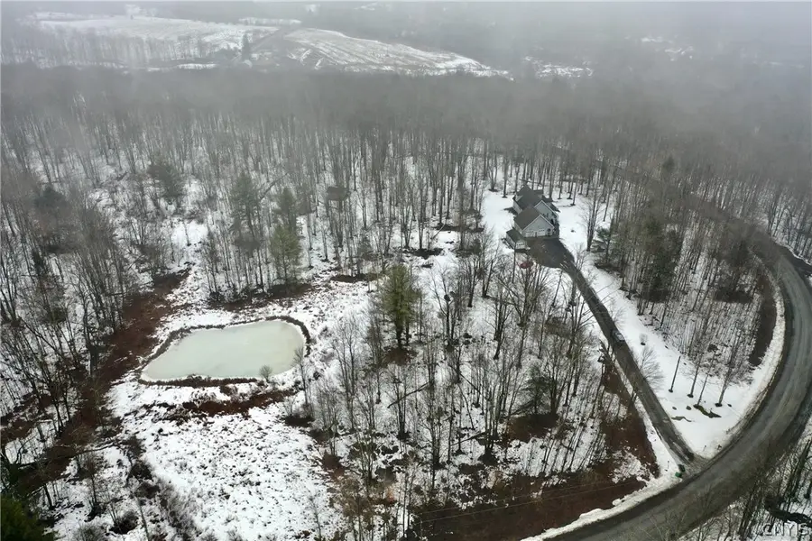 187 Lamb Road, Lisle, NY 13797 - #2