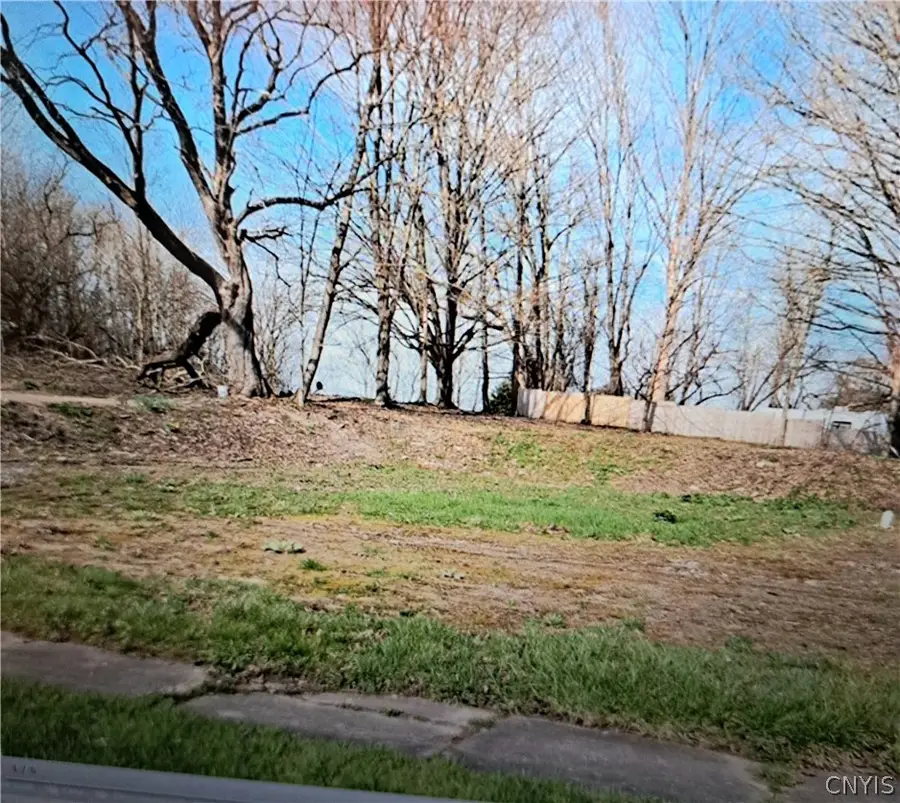 17 Voorhees Avenue, Camden, NY 13316 - #2