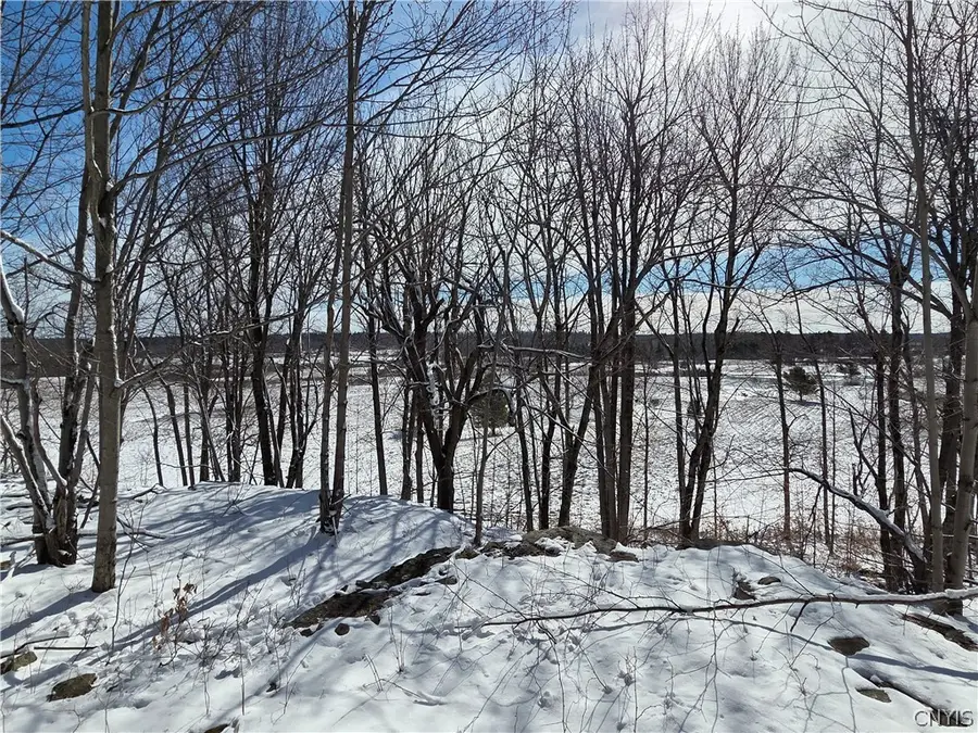 Calaboga Road, Redwood, NY 13679 - #2