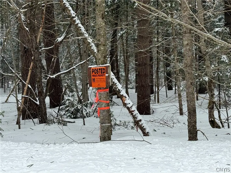 Lot #2 Roberts Road, Remsen, NY 13438 - #3