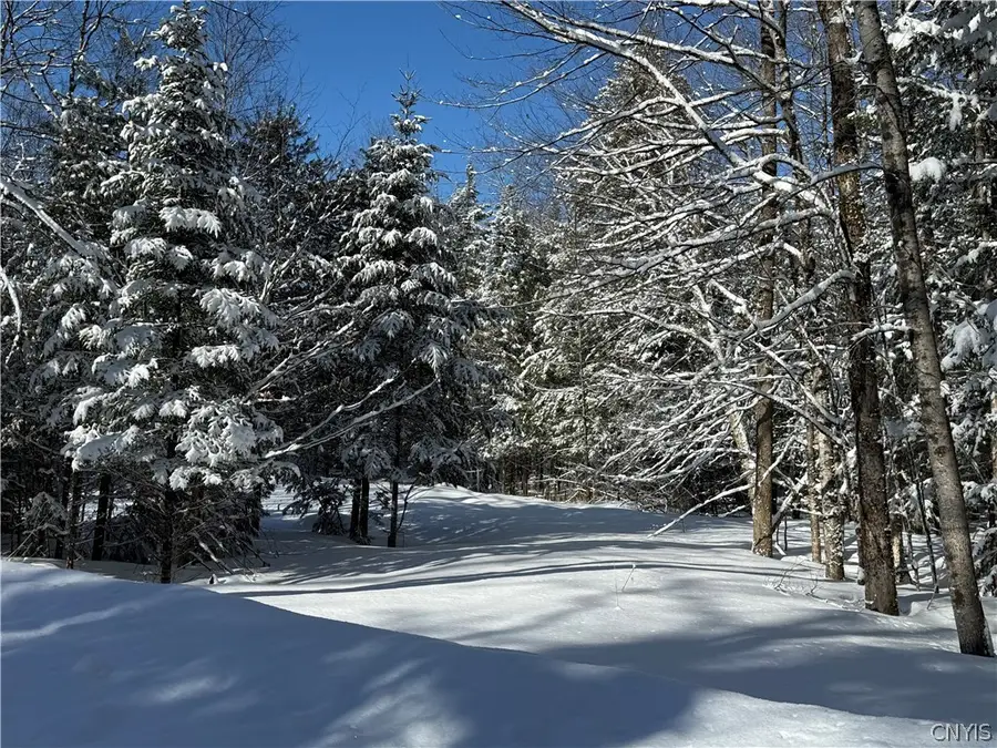 9971 Welsh District Road, Remsen, NY 13438 - #2