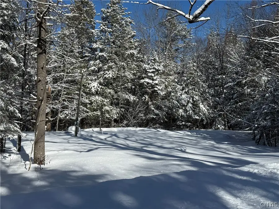 9971 Welsh District Road, Remsen, NY 13438 - #3