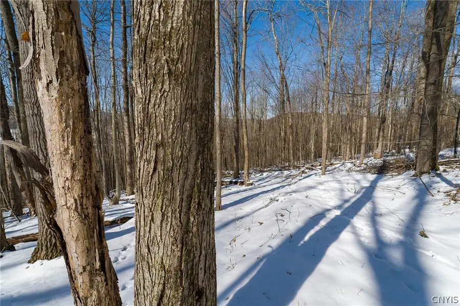 Nys Route 414, Catlin, NY 14902 - #2