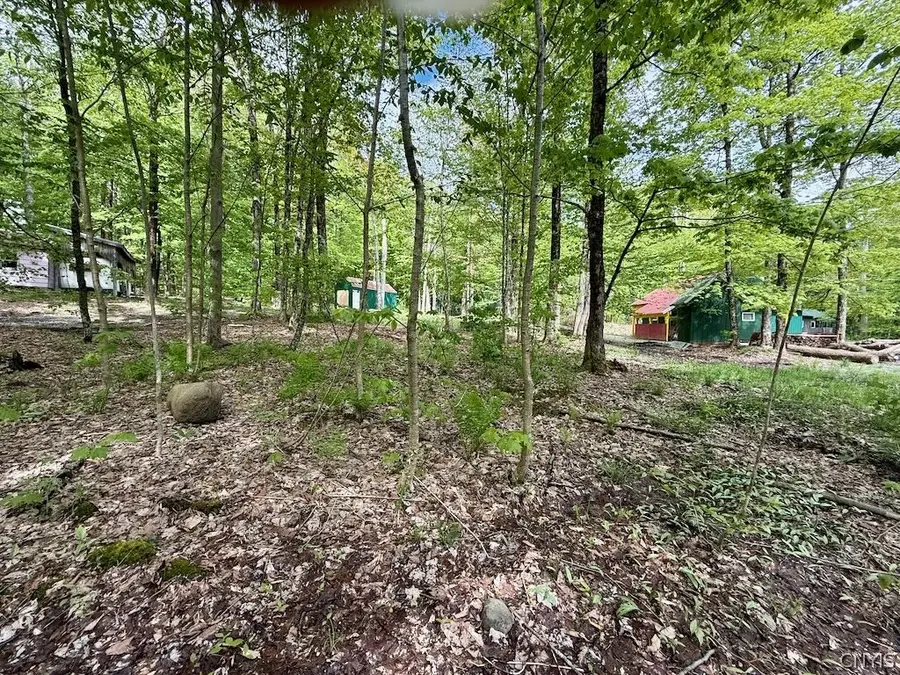 25 Little America Road, Orwell, NY 13144 - #2