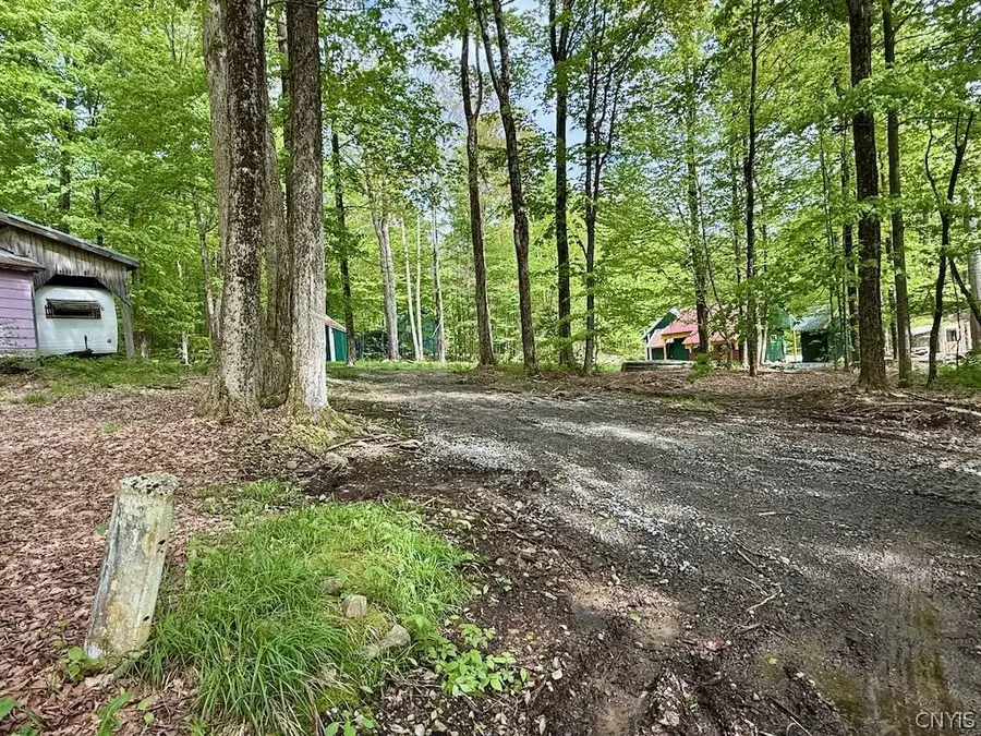 25 Little America Road, Orwell, NY 13144 - #3