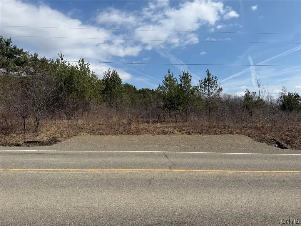 White Creek Road, Friendship, NY 14739 - #1