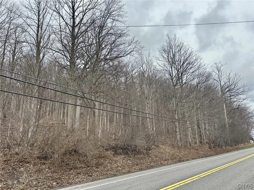 00 Warners Rd Lots 1-3, Camillus, NY 13031 - #1