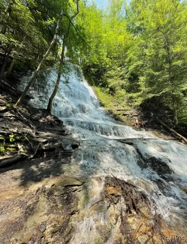 50 Vine Street, Naples, NY 14512 - #3