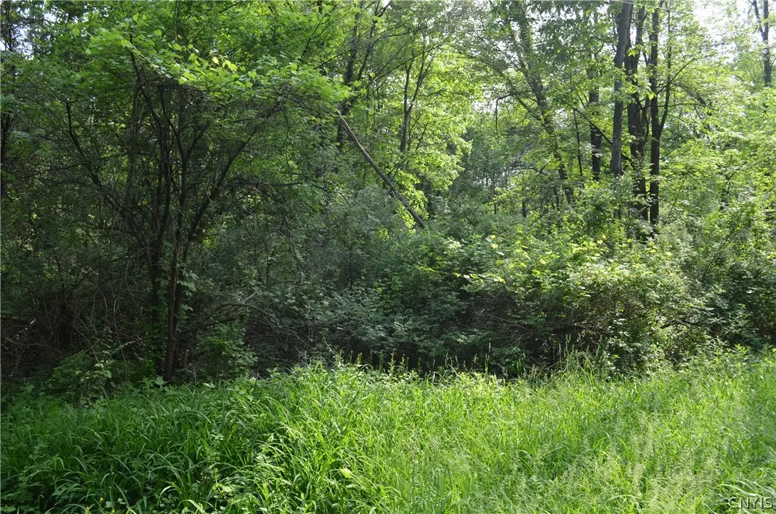 9 Cedar Drive, Selkirk, NY 12205 - #1