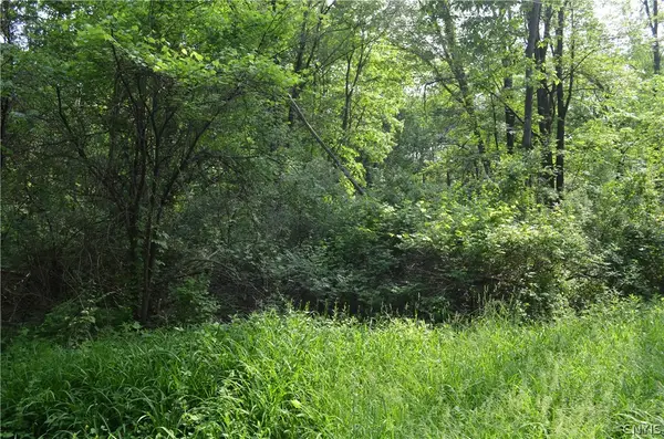 9 Cedar Drive, Selkirk, NY 12205