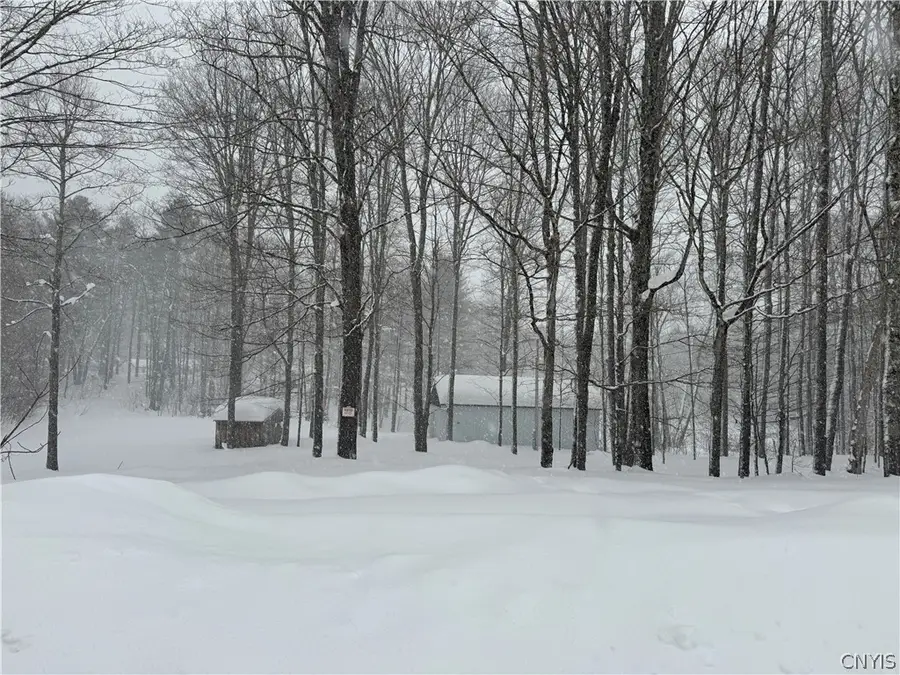 Kasoag Lake Road, Williamstown, NY 13302 - #2