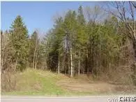 0 Nelson Road, Canastota, NY 13032 - #1