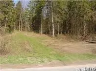 0 Nelson Road, Canastota, NY 13032 - #3