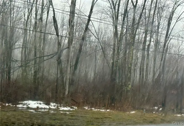 Route 13 N, Blossvale, NY 13308