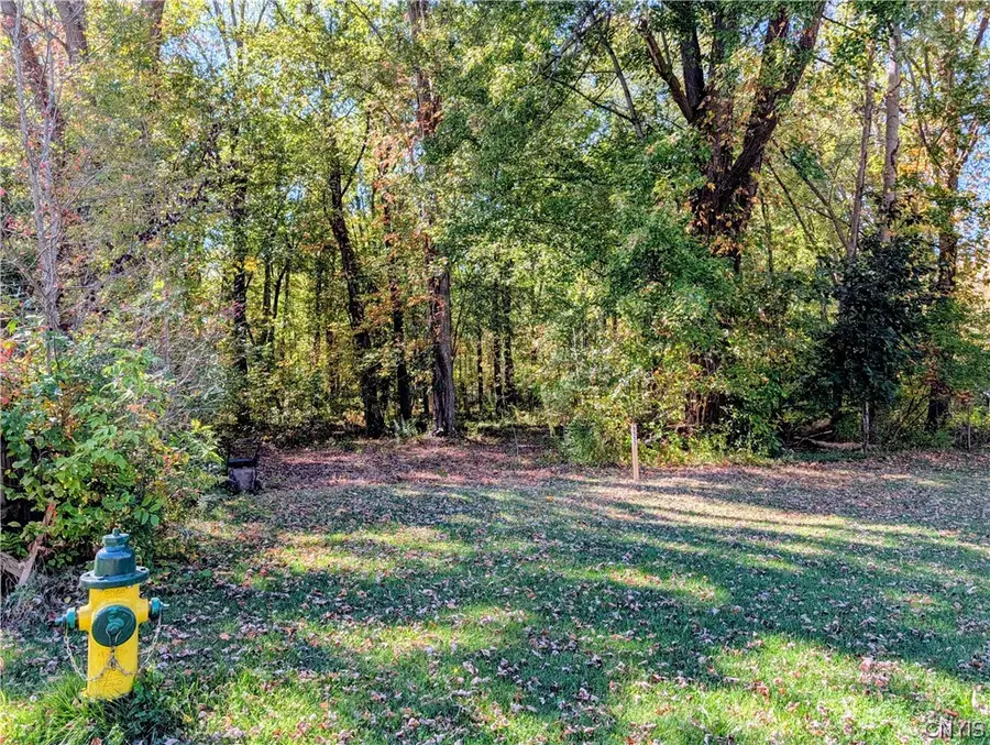 9553 Horseshoe Island, Clay, NY 13041 - #2