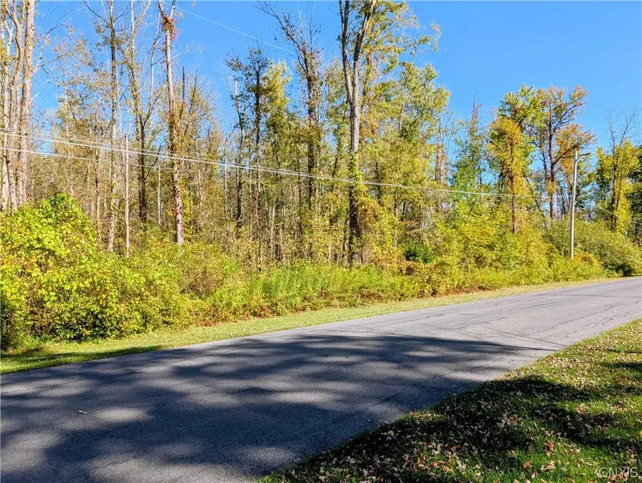 9553 Horseshoe Island, Clay, NY 13041 - #3