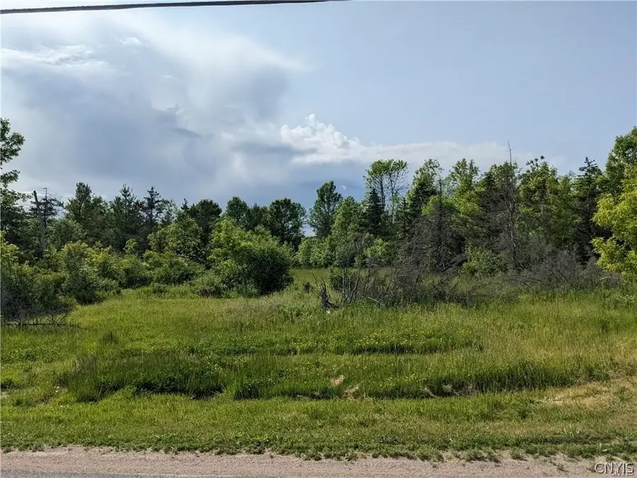 Old Town Springs Road, Chaumont, NY 13622 - #3