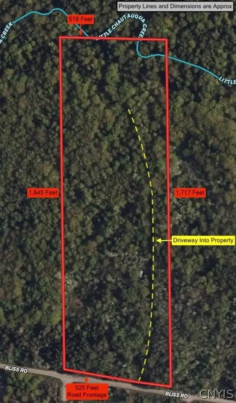 Bliss Road, Mayville, NY 14757 - #2