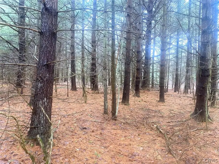 10138 Schuknecht Road, Fillmore, NY 14735 - #3