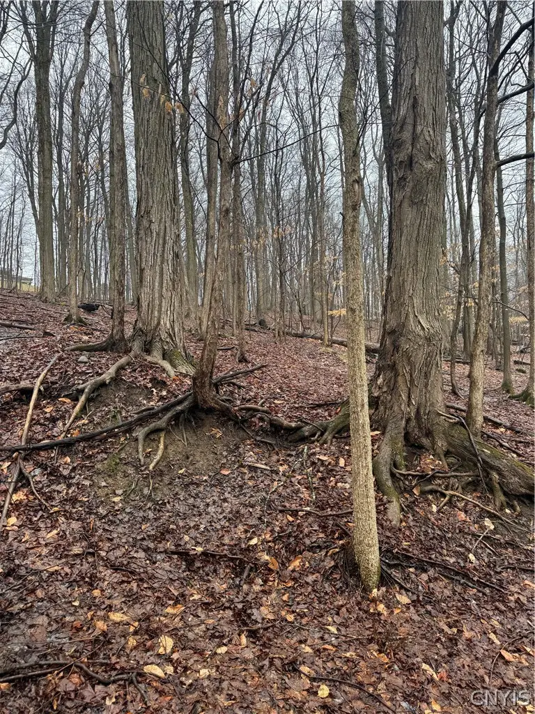 4 Nob Road, Utica, NY 13501 - #1