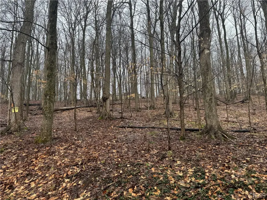 4 Nob Road, Utica, NY 13501 - #2