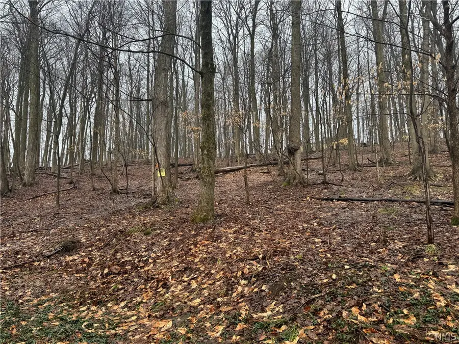 4 Nob Road, Utica, NY 13501 - #3