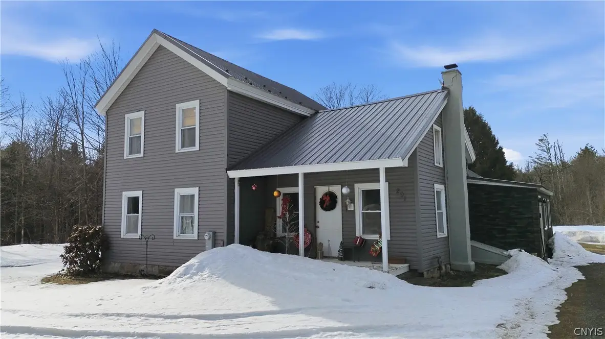 291 State Route 29a, Salisbury Center, NY 13454 - #1