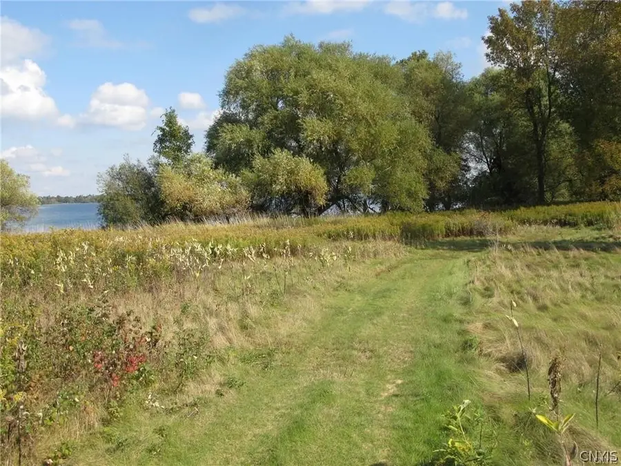 3939 Carleton Island Road 2, Cape Vincent, NY 13618 - #3