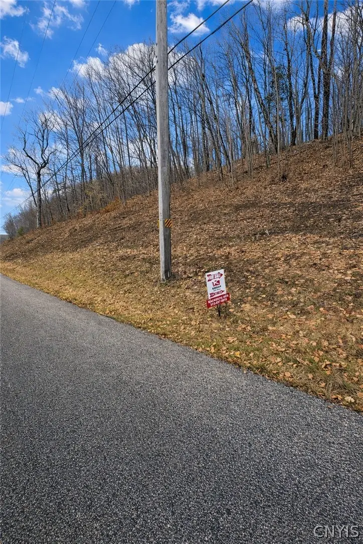 Rt-365, Remsen, NY 13438 - #2